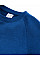 Bright Royal Kids Authentic Raglan Sweat