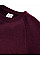 Burgundy Kids Authentic Raglan Sweat