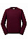 Burgundy Kids Authentic Raglan Sweat