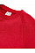 Classic Red Kids Authentic Raglan Sweat