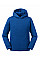 Bright Royal Kids Authentic Hooded Sweat