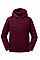 Burgundy Kids Authentic Hooded Sweat