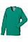 Winter Emerald Kids V-Neck Sweatshirt