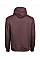 Grape Men's Hooded Sweatshirt