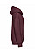 Burgundy Kids Hooded Sweatshirt