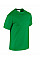 Irish Green Heavy Cotton™ Adult T-Shirt