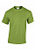 Kiwi Heavy Cotton™ Adult T-Shirt