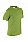 Kiwi Heavy Cotton™ Adult T-Shirt