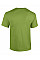 Kiwi Heavy Cotton™ Adult T-Shirt