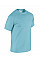 Sky Blue Heavy Cotton™ Adult T-Shirt