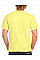 Cornsilk Heavy Cotton™ Adult T-Shirt