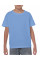 Carolina Blue Heavy Cotton™ Youth T-Shirt