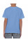 Carolina Blue Heavy Cotton™ Youth T-Shirt