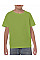 Kiwi Heavy Cotton™ Youth T-Shirt