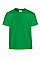 Irish Green Heavy Cotton™ Youth T-Shirt