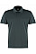 Graphite Regular Fit Cooltex® Plus Mirco Mesh Polo