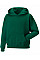 Bottle Green Kids Hooded Sweatshirt