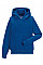 Bright Royal Kids Hooded Sweatshirt