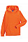 Orange Kids Hooded Sweatshirt