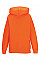 Orange Kids Hooded Sweatshirt