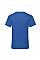 Royal Men's Valueweight V-Neck T