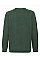 Bottle Green Kid's Premium Raglan Sweat