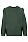 Bottle Green Kid's Premium Raglan Sweat