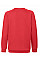 Red Kid's Premium Raglan Sweat