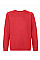 Red Kid's Premium Raglan Sweat