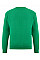 Retro Heather Green Kid's Classic Raglan Sweat