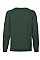 Bottle Green Kid's Classic Raglan Sweat