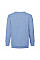 Sky Blue Kid's Classic Set-In Sweat