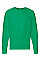 Kelly Green Men's Lightweight Raglan Sweat