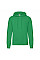 Kelly Green Men's Classic Hooded Sweat