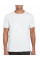 White Softstyle Adult T-Shirt