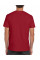 Cardinal Softstyle Adult T-Shirt