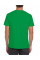 Irish Green Softstyle Adult T-Shirt