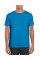 Sapphire Softstyle Adult T-Shirt