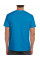 Sapphire Softstyle Adult T-Shirt