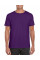 Purple Softstyle Adult T-Shirt