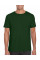 Forest Green Softstyle Adult T-Shirt