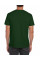 Forest Green Softstyle Adult T-Shirt