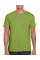 Kiwi Softstyle Adult T-Shirt