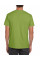 Kiwi Softstyle Adult T-Shirt