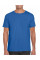 Royal Softstyle Adult T-Shirt