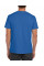 Royal Softstyle Adult T-Shirt