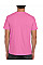 Azalea Softstyle Adult T-Shirt