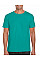 Jade Dome Softstyle Adult T-Shirt