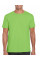 Lime Softstyle Adult T-Shirt