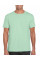 Mint Green Softstyle Adult T-Shirt